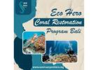 Eco Hero Coral Restoration Program Bali