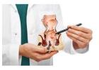 Advanced Piles Surgeon in Kolkata   