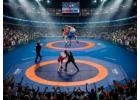 Buy Online Wrestling Mats: Sizes & Prices | Gravolite