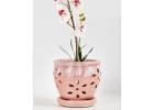 Orchid Pottery: Where Clay Meets Floral Beauty 
