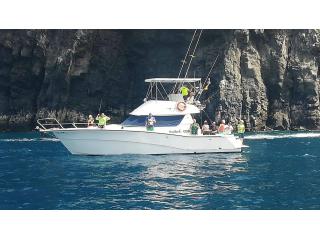 Mont Teide Private Tour | Privatetourtenerife.com
