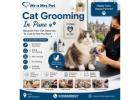 Cat Grooming