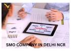 SMO Company in Delhi for Higher Engagement & Reach
