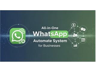 WhatsApp Business API India: Pricing, Features & Best Providers 2026