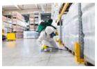 Affordable Termite Control Services in Faridabad – Protect Your Home Today