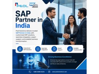 SAP Partner in India