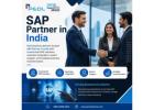 SAP Partner in India