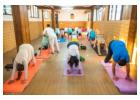 best Yoga Teacher Training in