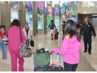 Stay Updated with Online Business Travel News Articles