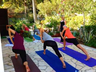 Himalayan Yoga Institute | Yoga Teacher Training