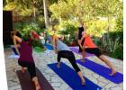 Himalayan Yoga Institute | Yoga Teacher Training