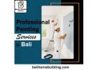 Professional Painting Services in Bali
