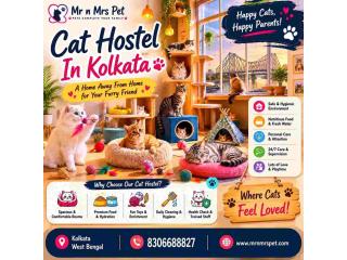 Cat Hostel