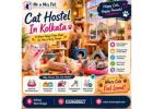 Cat Hostel