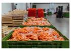 Trusted Frozen Food Freight Services in Australia – Proworld Logistics