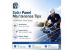 Solar Panel Maintenance Tips for Maximum Power Saving - Meena Solar