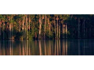 Sandoval Lake 3 Day Tour & Chuncho Macaw Clay Lick Tour | Tree House Inn