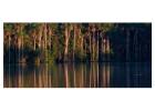 Sandoval Lake 3 Day Tour & Chuncho Macaw Clay Lick Tour | Tree House Inn