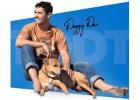Solve Dog Reactivity Auto Webinar. Tames The World No. 1 Dogs Problem