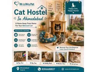Cat Hostel