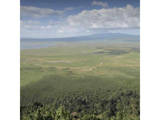 Arusha National Park Day Tour