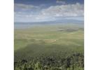 Arusha National Park Day Tour