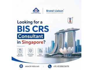 Looking for a BIS CRS Consultant in Singapore?