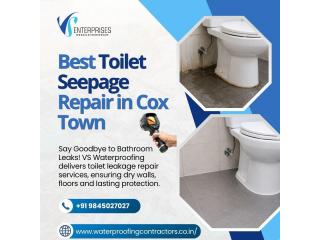 Best Toilet Seepage Repair in Cox Town