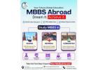 Study Mbbs Abroad for Indian Students 