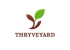 Thryveyard - Revenue Driven Digital Marketing Agency