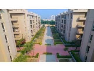 Want to buy a plot in Meerut?