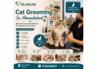 Cat Grooming