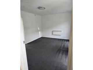 Restore Carpet Freshness with Professional Steam Cleaning