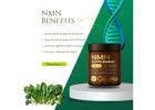 Benefits Of NMN Supplements. 
