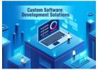 Custom Software Development USA Solutions for Businesses in India | Codechaps