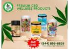 Buy Elite Hemp CBD Gummies in Sunrise, FL – Premium CBD Wellness Products