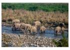 Explore Adventure with Dhela Zone Jeep Safari Ride Today
