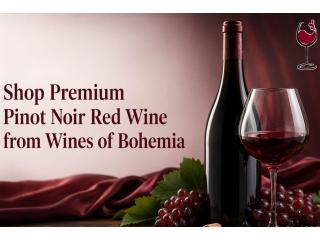 Shop Premium Pinot Noir Red Wine from Wines of Bohemia