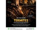 Did you know termites communicate through vibrations?