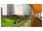 Discover Mega-Townships & New Residential Projects in Pune - Pharande spaces