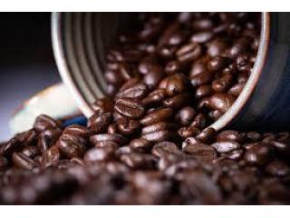 Have the best espresso beans in Toronto from premier coffee roasters in town