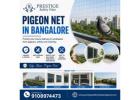 Best Pigeon Net in Bangalore Services