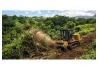 Quality Cheap Land Clearing in Hilo for Every Budget - Arborist Services