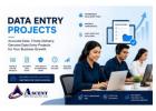 Data entry project provider