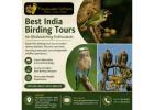 Best India Birding Tours for Birdwatching Enthusiasts 