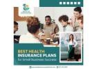 Flexible Health Plans for Small Business Success