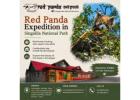 Red Panda Expedition in Singalila National Park 