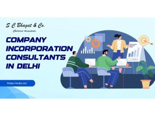 NGO and Section 8 Setup: Company Incorporation Consultants in Delhi