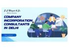 NGO and Section 8 Setup: Company Incorporation Consultants in Delhi