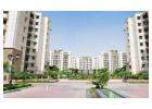 Flats in Gulshan Dynasty Sector 144 Noida